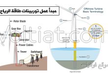 كيف تعمل توربينات الرياح؟