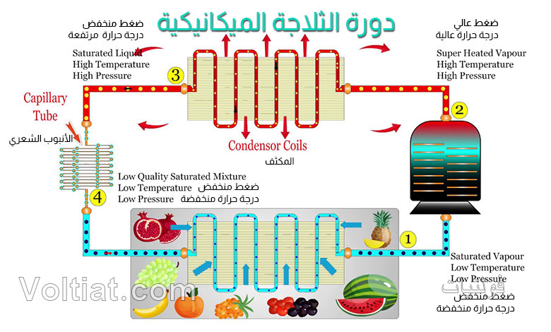 كيف تعمل الثلاجة بالتفصيل