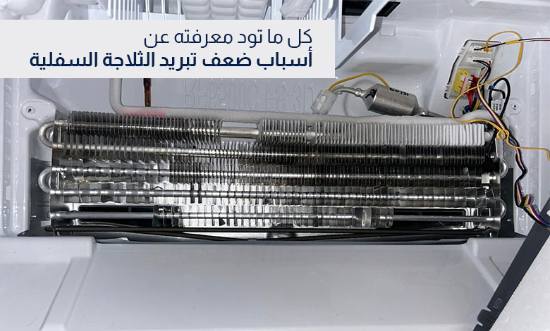 الثلاجة لا تبرد من الأسفل