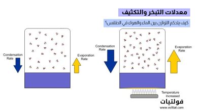 معدلات التبخر والتكثيف والرطوبة النسبية